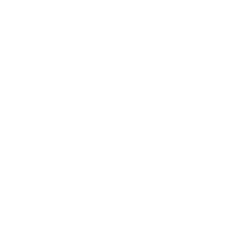 Caterpillar